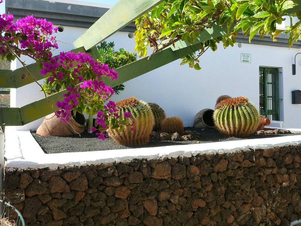 Apartamentos Guacimeta Matagorda  Exterior foto
